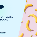 This Software Is Bananas blog title card image